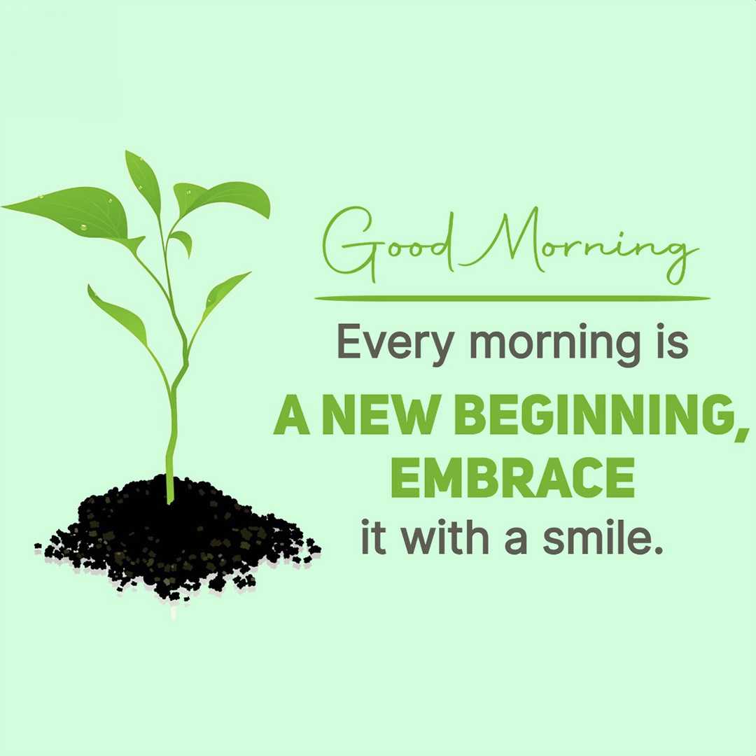 Good Morning