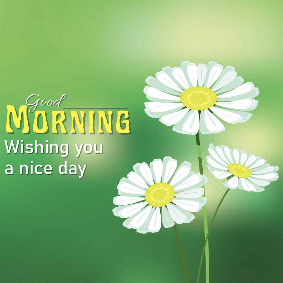 Good Morning