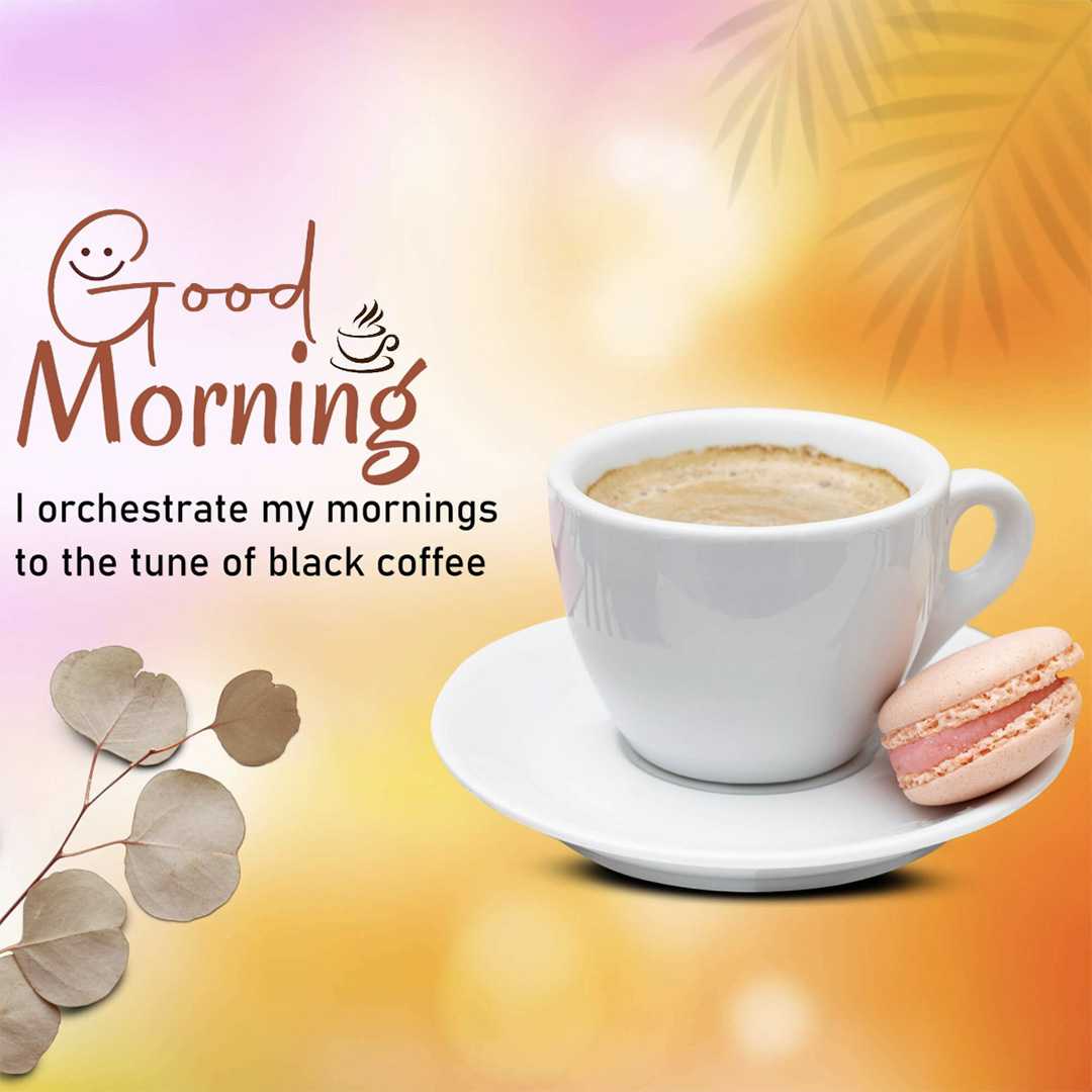 Good Morning