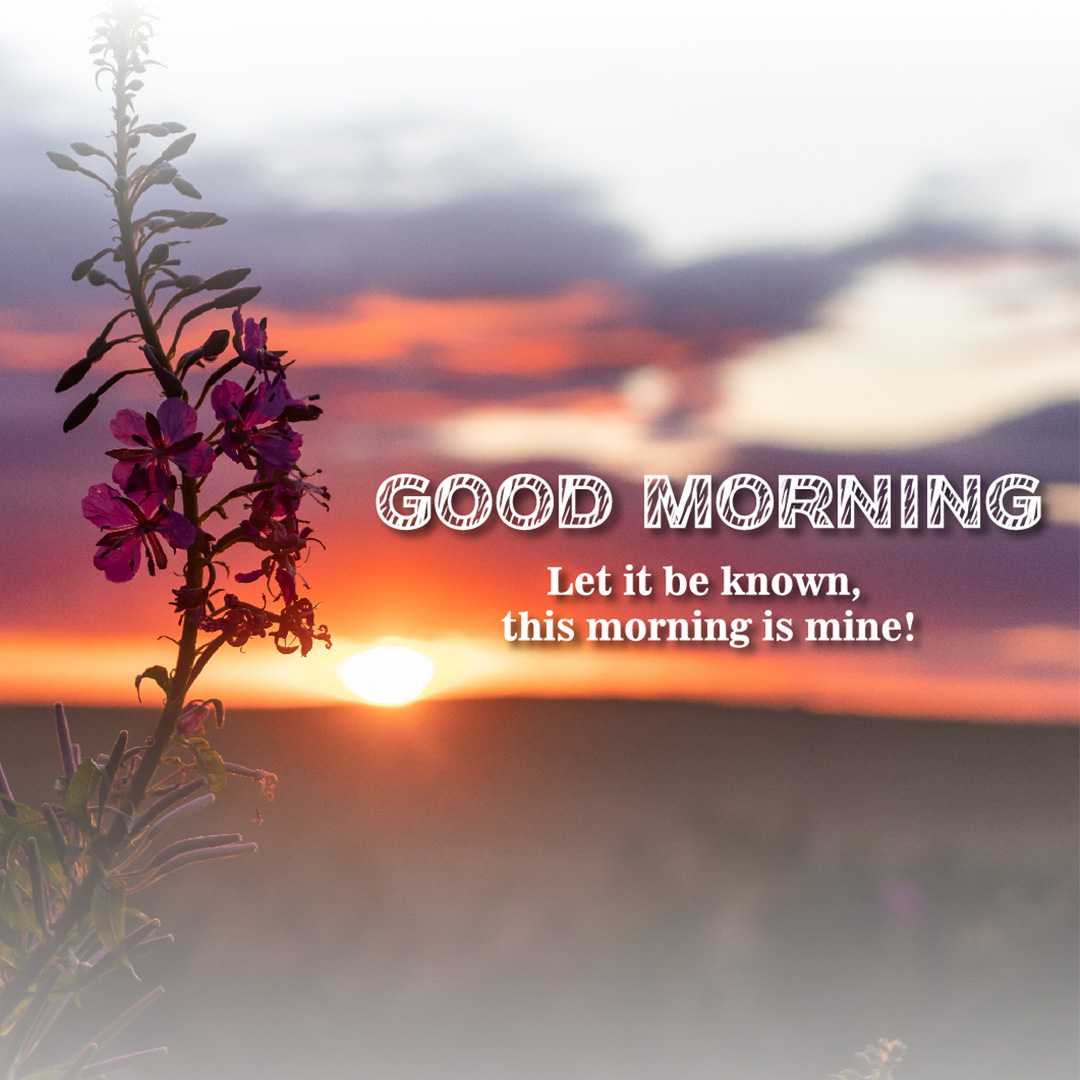 Good Morning
